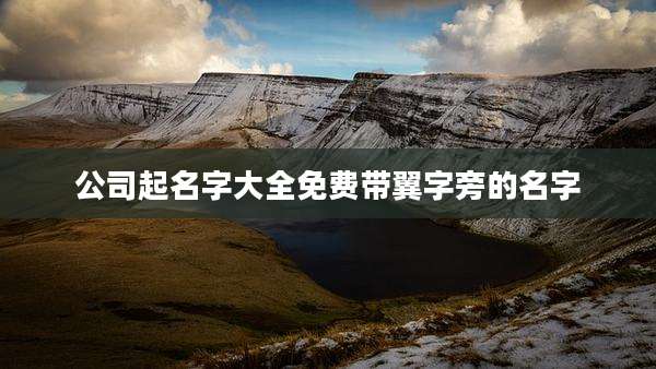 公司起名字大全免费带翼字旁的名字