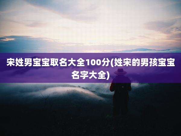 宋姓男宝宝取名大全100分(姓宋的男孩宝宝名字大全)