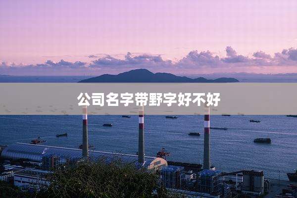 公司名字带野字好不好