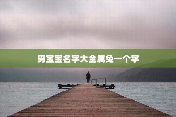 男宝宝名字大全属兔一个字