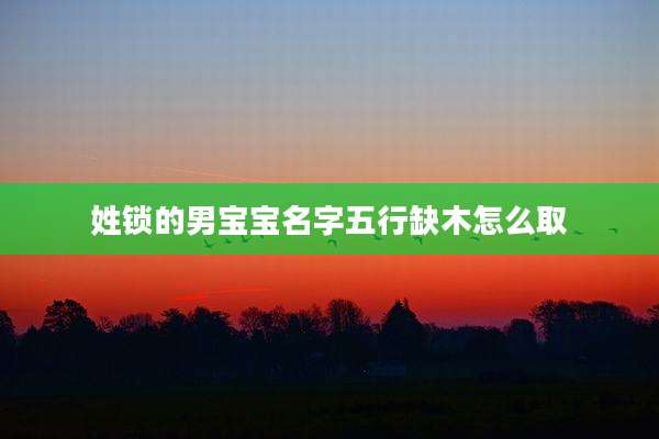 姓锁的男宝宝名字五行缺木怎么取