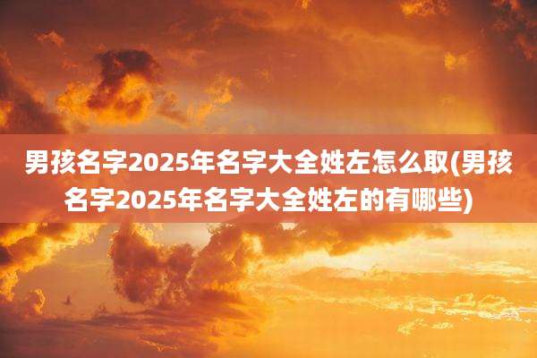 男孩名字2025年名字大全姓左怎么取(男孩名字2025年名字大全姓左的有哪些)