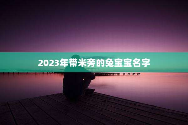 2023年带米旁的兔宝宝名字