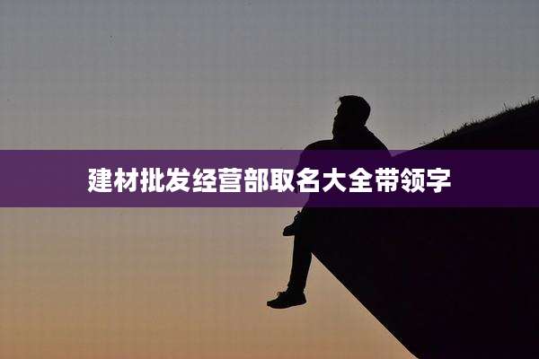 建材批发经营部取名大全带领字