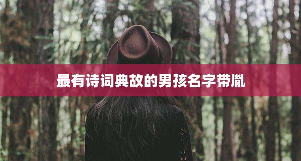最有诗词典故的男孩名字带胤
