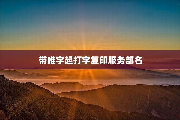 带唯字起打字复印服务部名