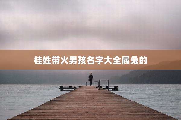 桂姓带火男孩名字大全属兔的
