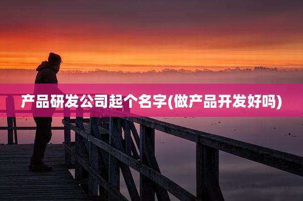 产品研发公司起个名字(做产品开发好吗)