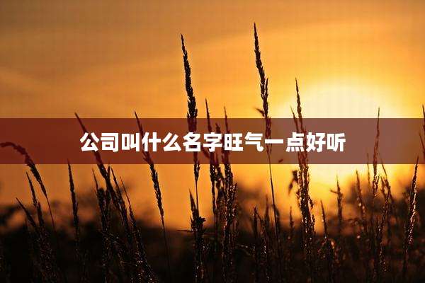 公司叫什么名字旺气一点好听