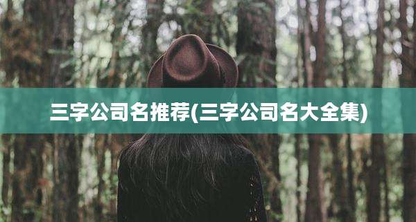 三字公司名推荐(三字公司名大全集)