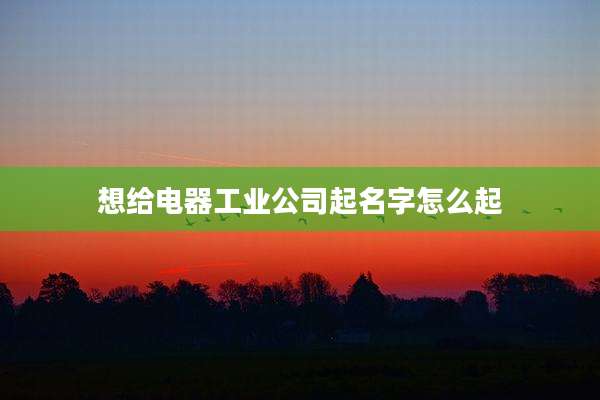 想给电器工业公司起名字怎么起