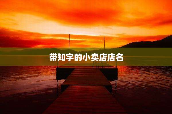带知字的小卖店店名
