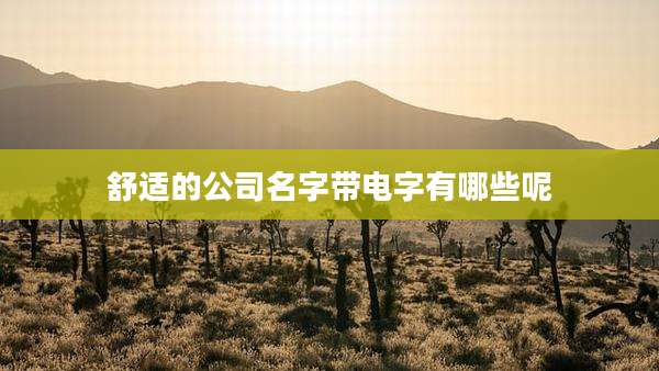 舒适的公司名字带电字有哪些呢