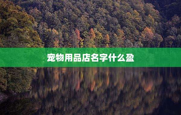 宠物用品店名字什么盈