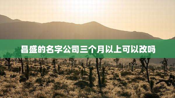 昌盛的名字公司三个月以上可以改吗