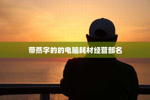 带燕字的的电脑耗材经营部名