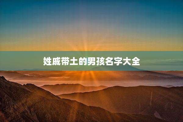 姓戚带土的男孩名字大全