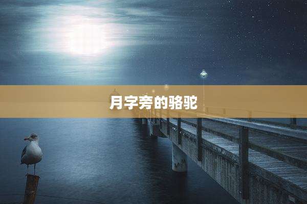 月字旁的骆驼