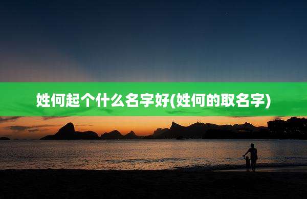 姓何起个什么名字好(姓何的取名字)