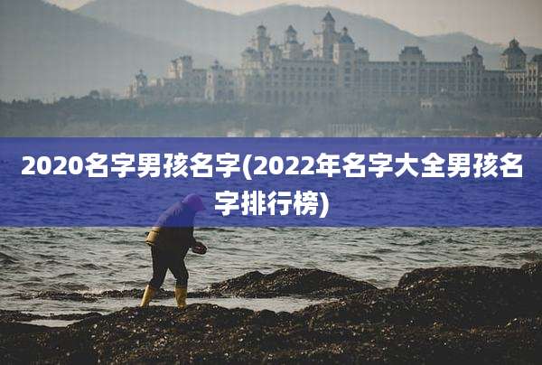2020名字男孩名字(2022年名字大全男孩名字排行榜)