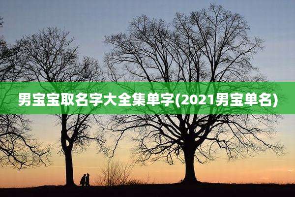 男宝宝取名字大全集单字(2021男宝单名)