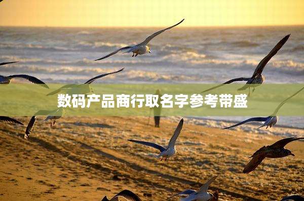 数码产品商行取名字参考带盛