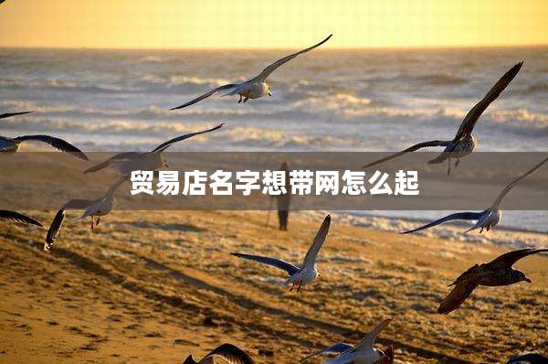 贸易店名字想带网怎么起