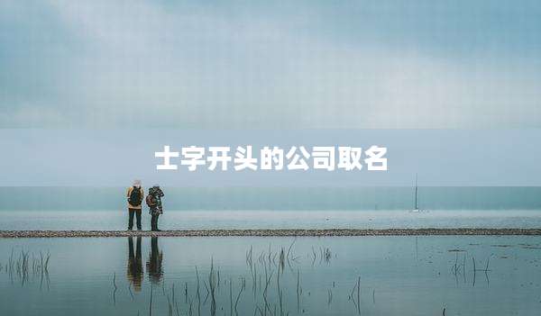 士字开头的公司取名