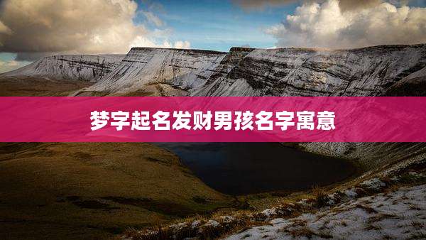 梦字起名发财男孩名字寓意