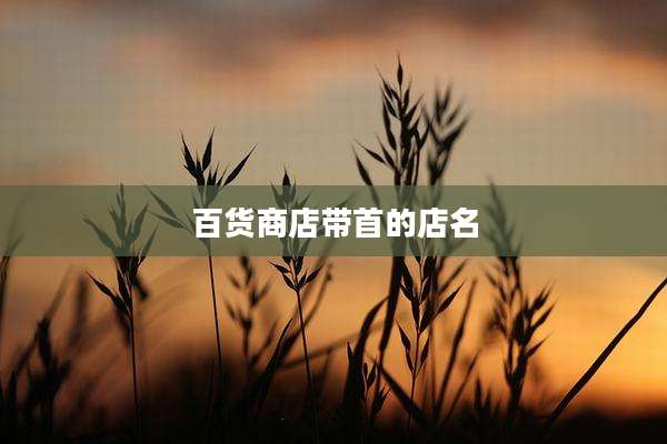 百货商店带首的店名