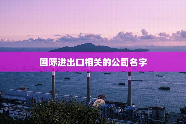 国际进出口相关的公司名字