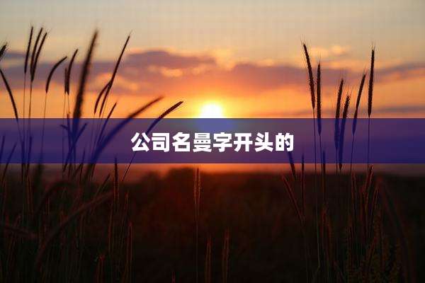 公司名曼字开头的
