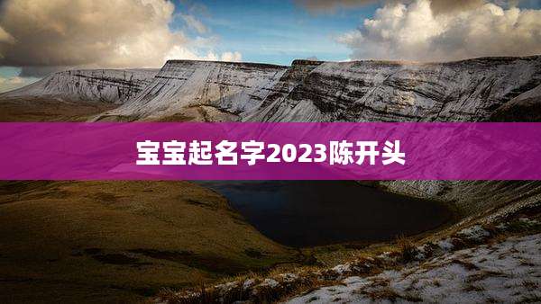宝宝起名字2023陈开头