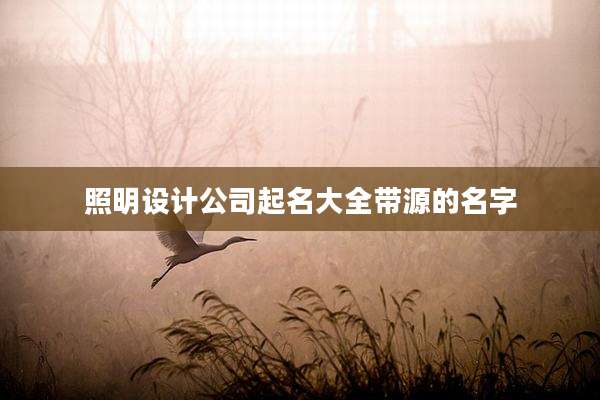 照明设计公司起名大全带源的名字