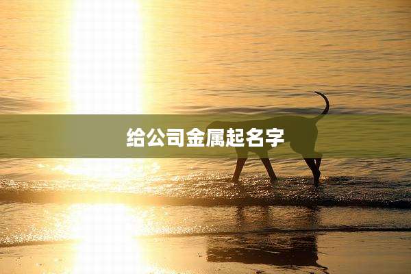 给公司金属起名字