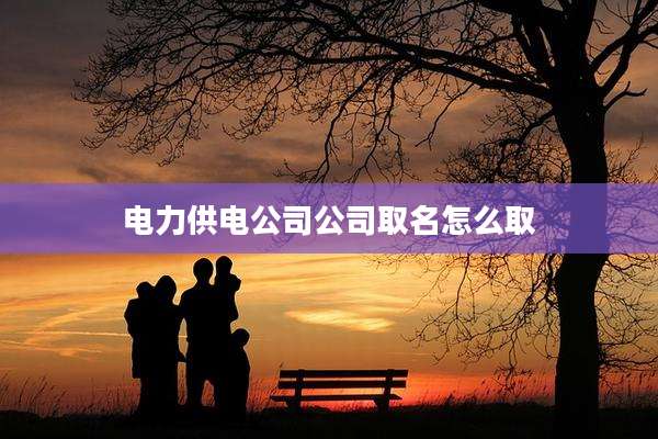 电力供电公司公司取名怎么取