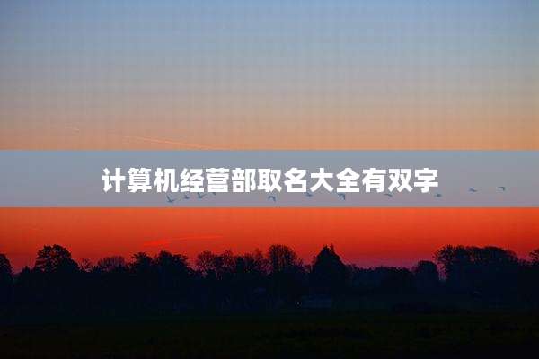 计算机经营部取名大全有双字
