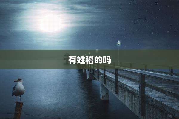 有姓稽的吗