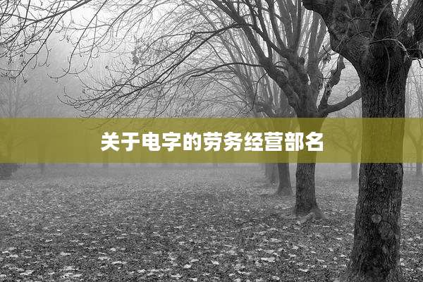 关于电字的劳务经营部名