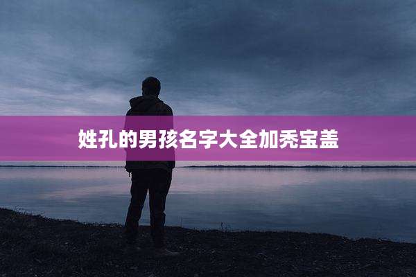 姓孔的男孩名字大全加秃宝盖