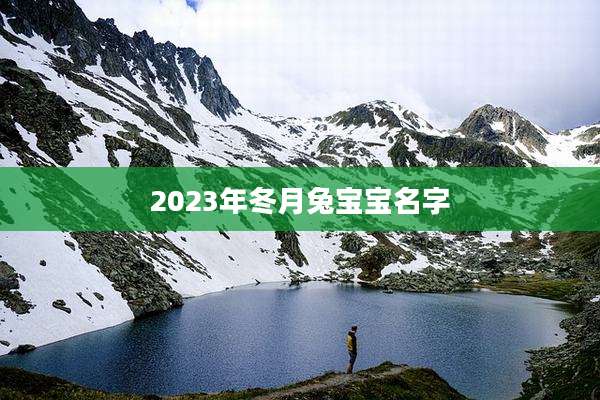 2023年冬月兔宝宝名字