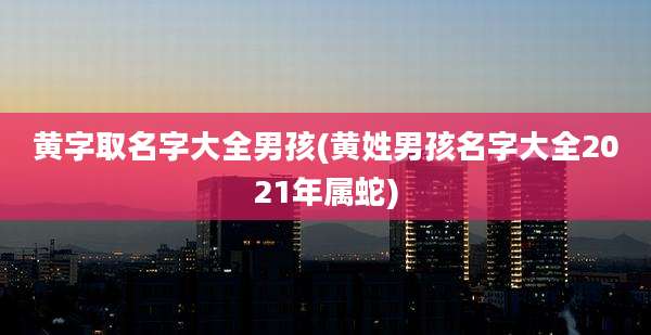 黄字取名字大全男孩(黄姓男孩名字大全2021年属蛇)