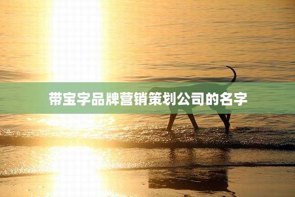 带宝字品牌营销策划公司的名字