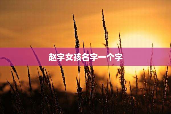 赵字女孩名字一个字