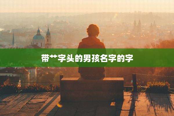 带艹字头的男孩名字的字