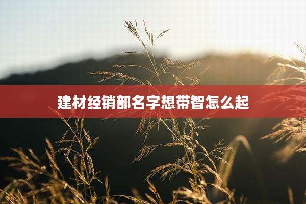 建材经销部名字想带智怎么起