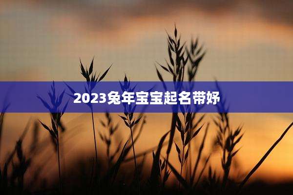 2023兔年宝宝起名带妤