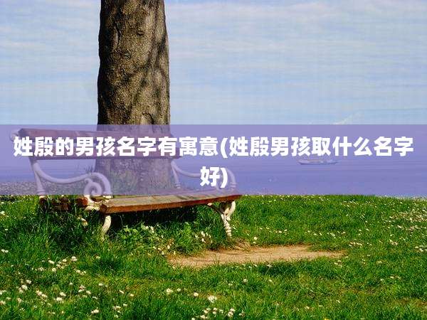 姓殷的男孩名字有寓意(姓殷男孩取什么名字好)