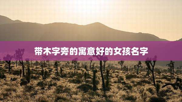 带木字旁的寓意好的女孩名字