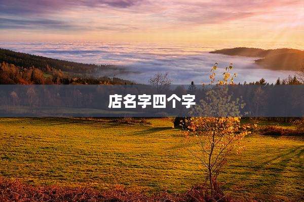 店名字四个字